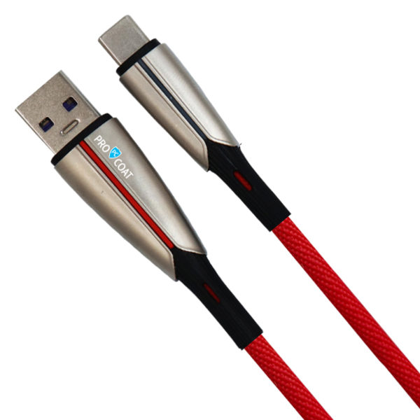 Pro-Coat S-M399 C-Type USB CABLE 1Meter-0